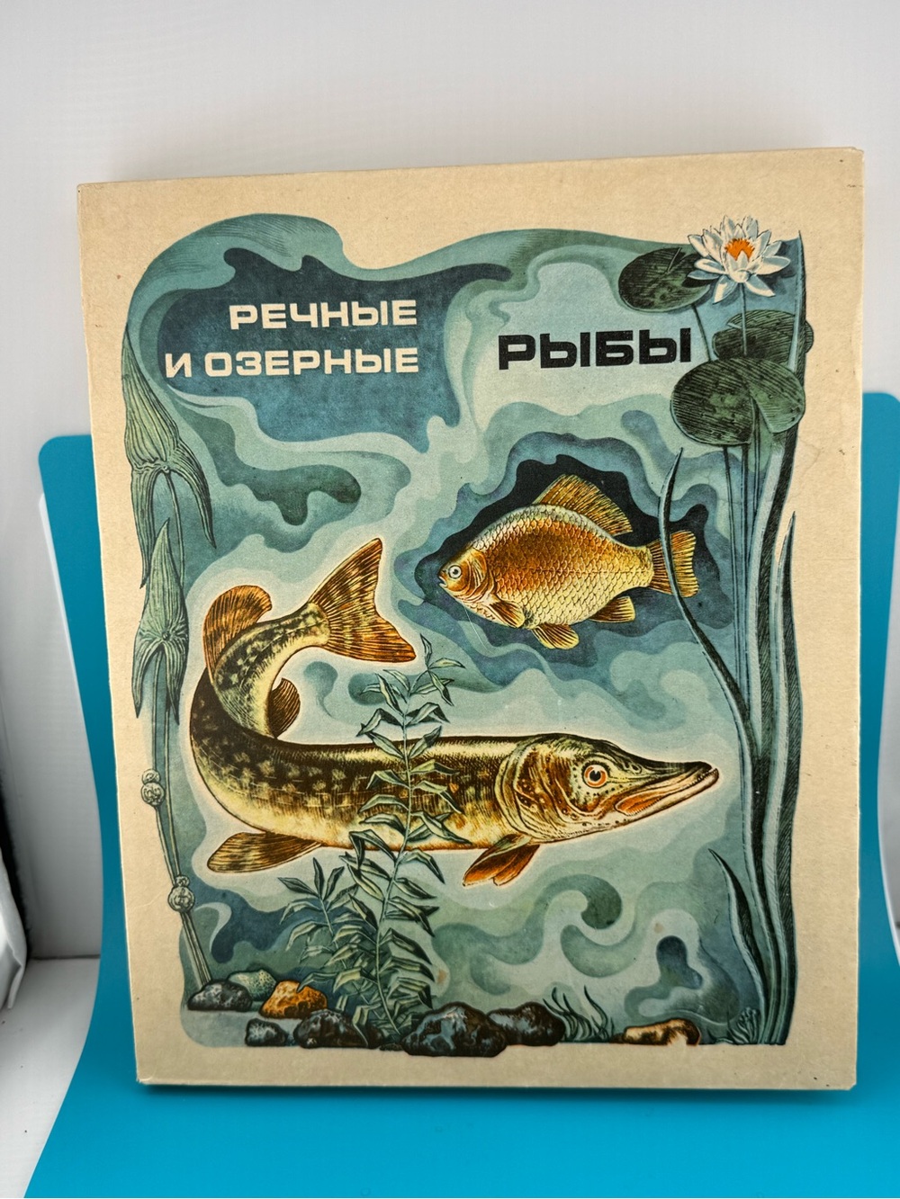 Vintage 1983 USSR Soviet Fish 28 Matchbox Collector Set